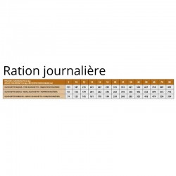 Ration journalière