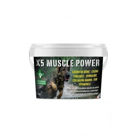 Complément alimentaire - X5 Muscle Power